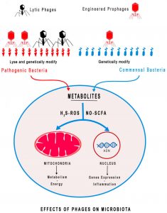 Prof. Marvin Edeas highlights: Microbiota and Phage Therapy - "Future Challenges in Medicine"