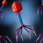 Phage Therapy 2023_Bacteriophages