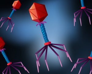 Phage Therapy 2023_Bacteriophages